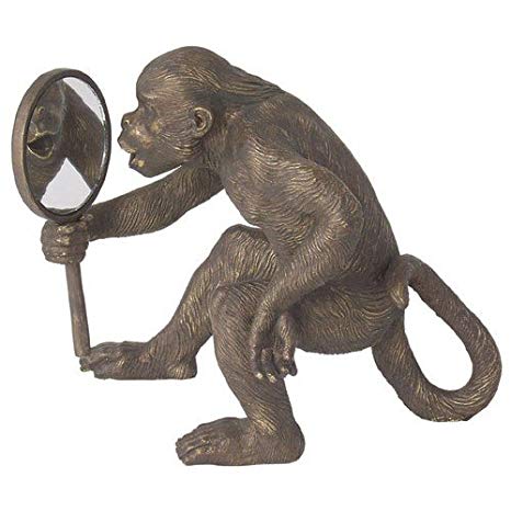Monkey mirror